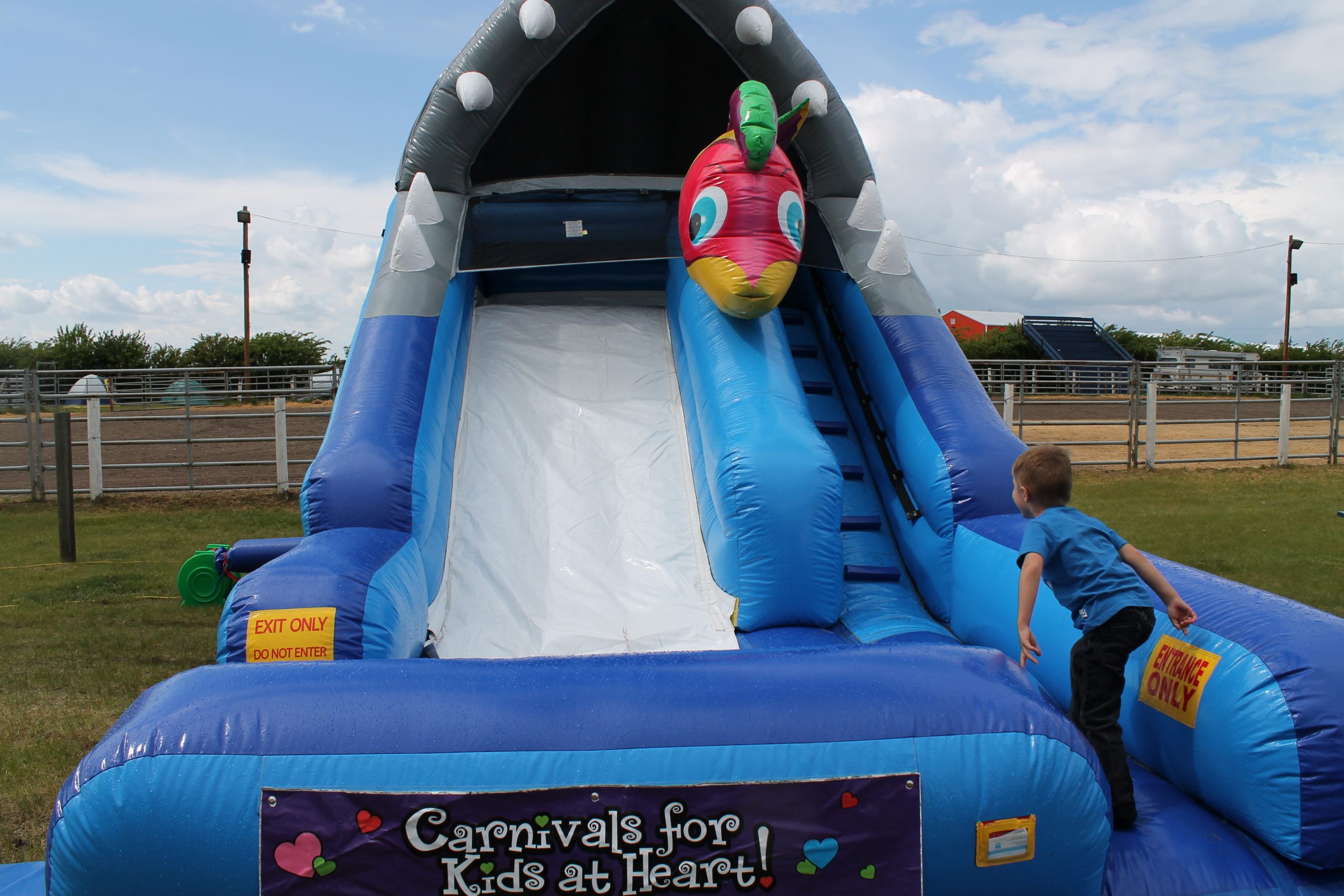 Shark Slide Carnivals for Kids at Heart