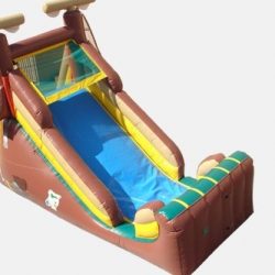 Calgary Inflatable Slide Rentals