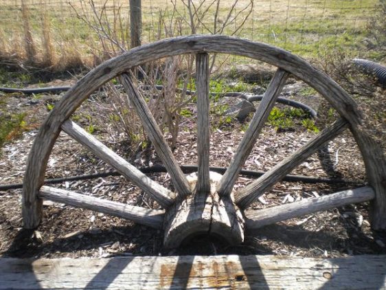 Wagon wheel for rent