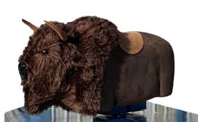 Bison Ride