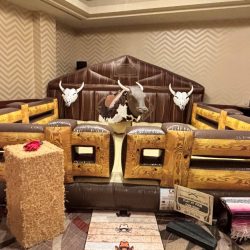 Mechanical Bull