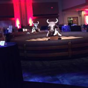 Mechanical Bull rental