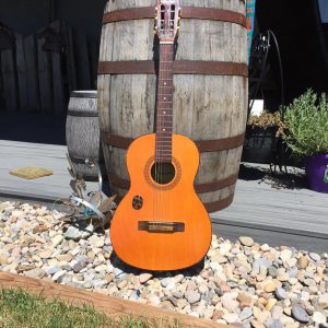 Guitar for Rent
