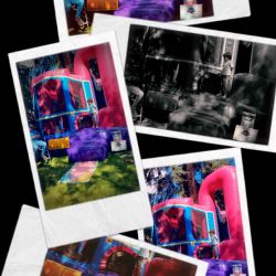 Jump Houses And Bounce Houses