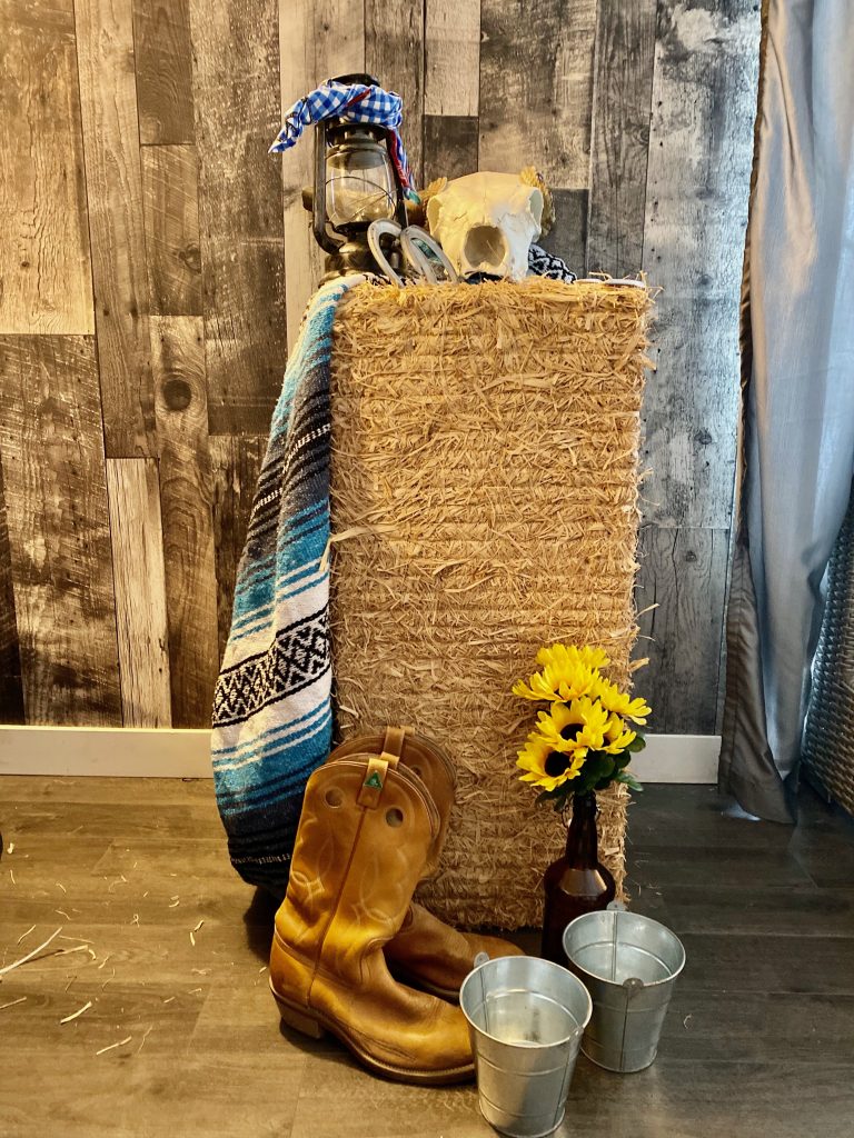 Western blanket (WD175) Carnivals for Kids at Heart