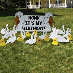 Honk It's My Birthday