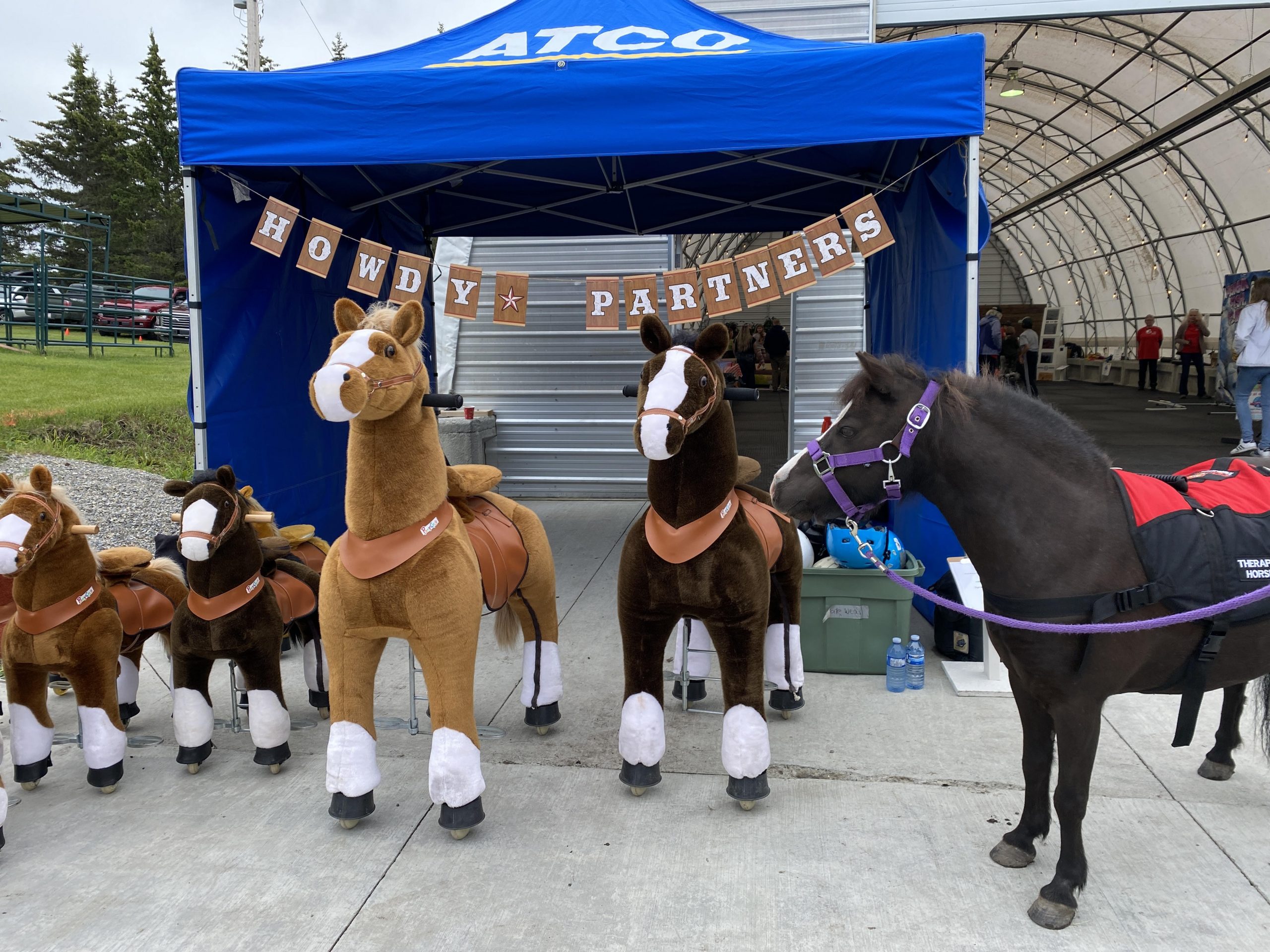 Pony cycles for store adults