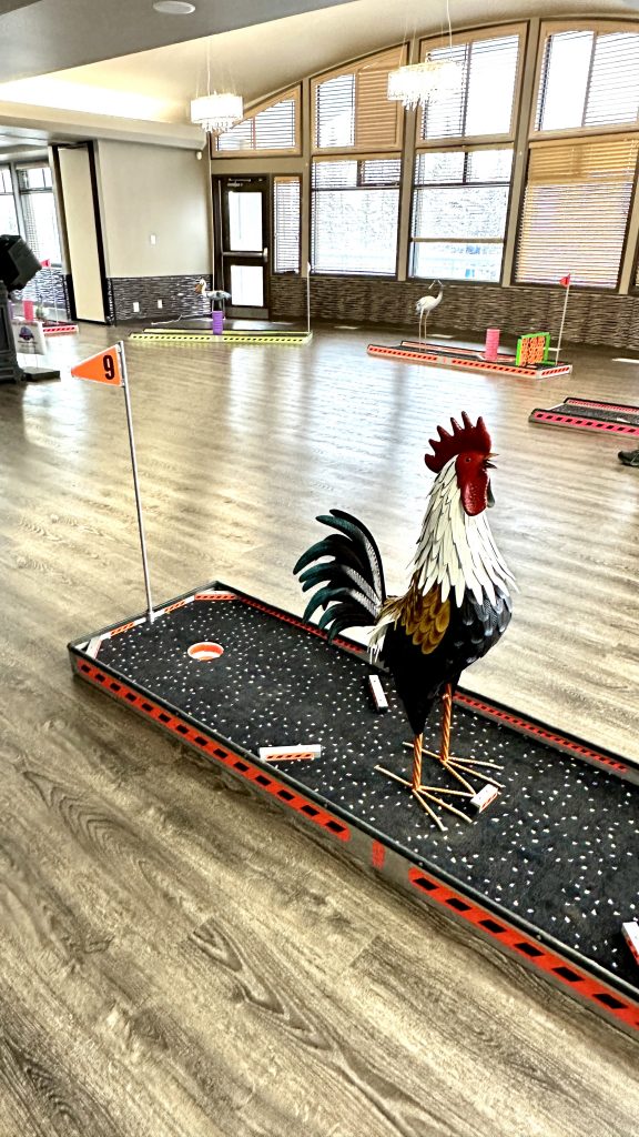 Bird themed mini golf course for rent
