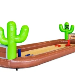 Cactus HORSE SHOE TOSS - (IG-CACTUS) New July 2026~!