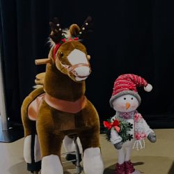 reindeer cycle rentals