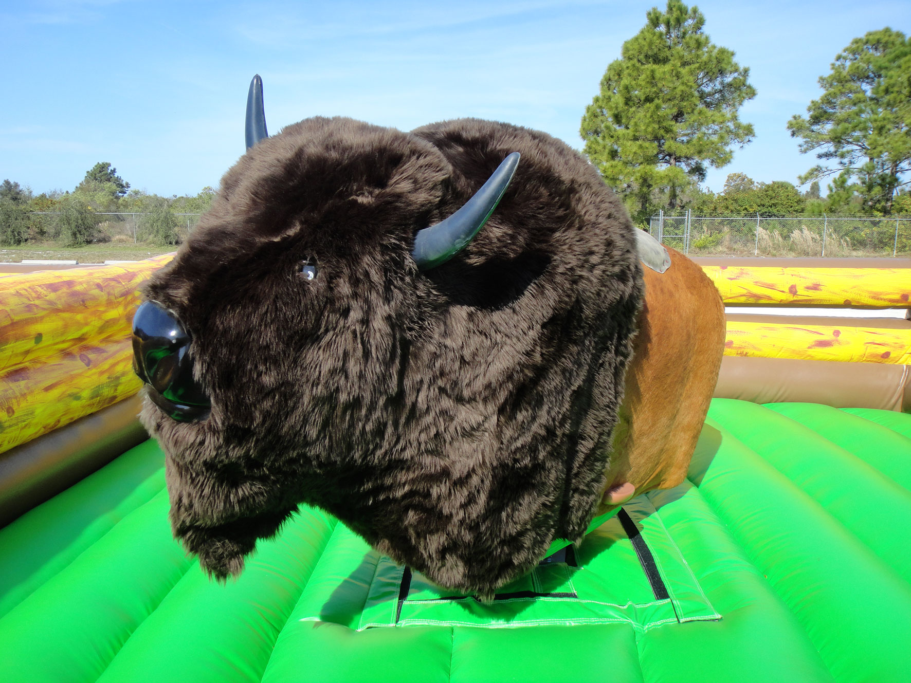 Bison mechanical ride