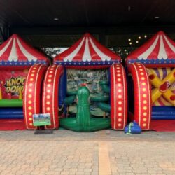 VIP Inflatable Frog Launcher (Inflate-Frog)