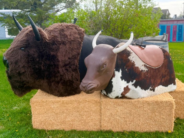 2026 ain’t No Bull rentals!