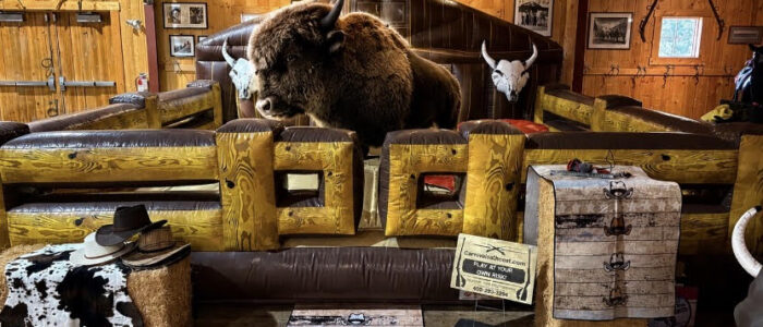 Bison Mechanical ride