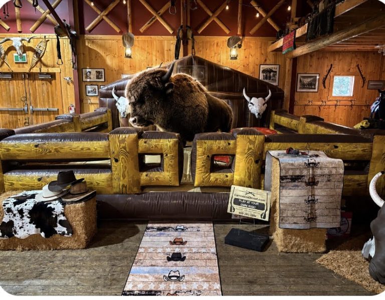 Bison Mechanical ride