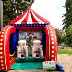 Carnival games for VIP events