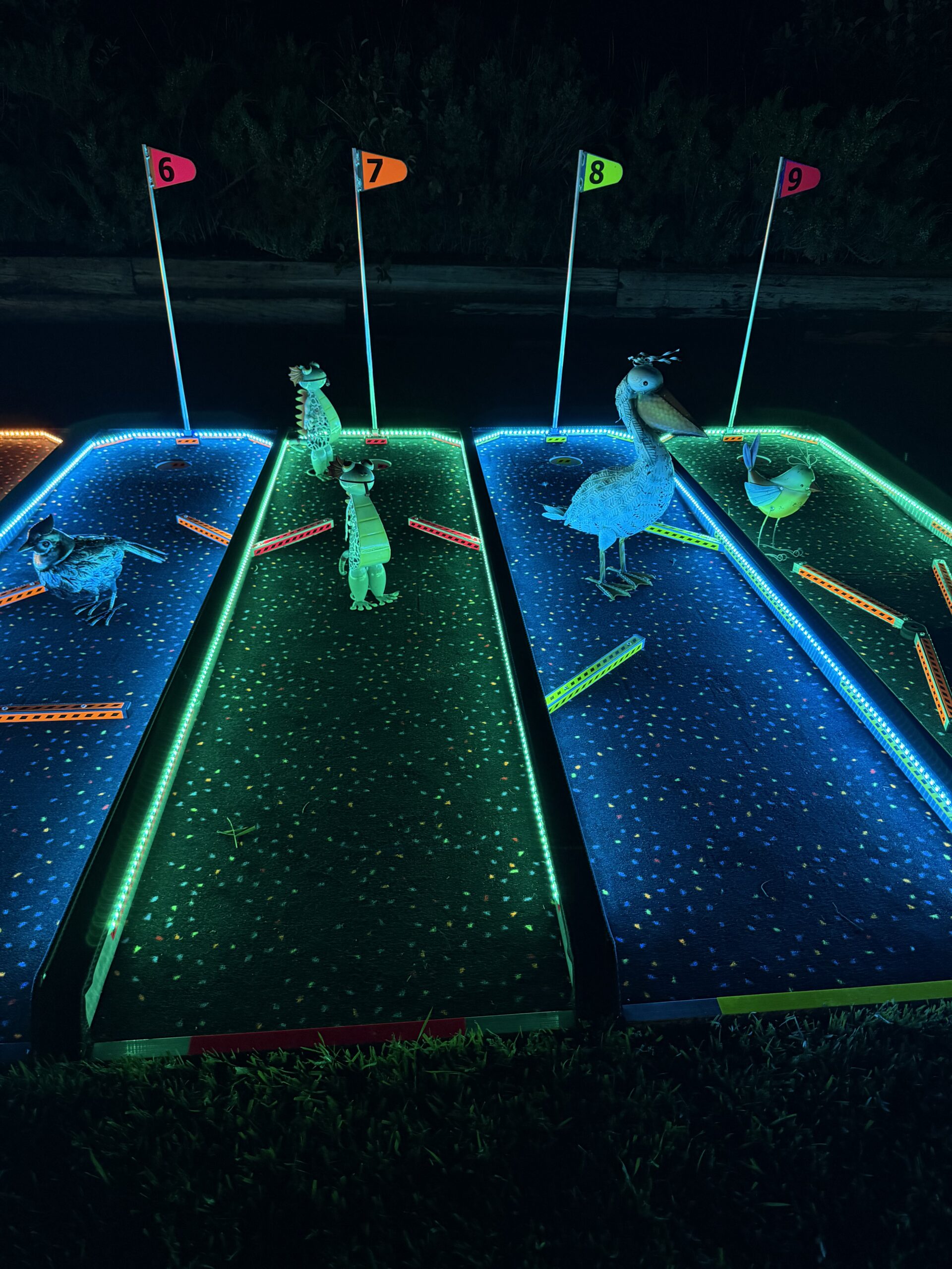 Platinum AAA Mini Golf Black carpet LED (MP-Platium) – (Roughly 30 times rarer than gold in the Earth’s crust) - Image 14
