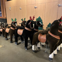 REINDEER CYCLES - 4 sizes available