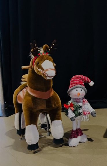 reindeer cycle rentals